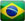 Portuguese Version